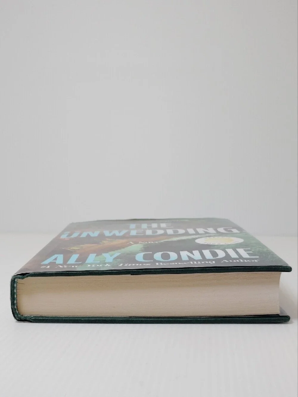 The Unwedding by Ally Condie - Teal & Green Hardcover Novel